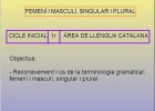 Femení, masculí, singular i plural | Recurso educativo 34274