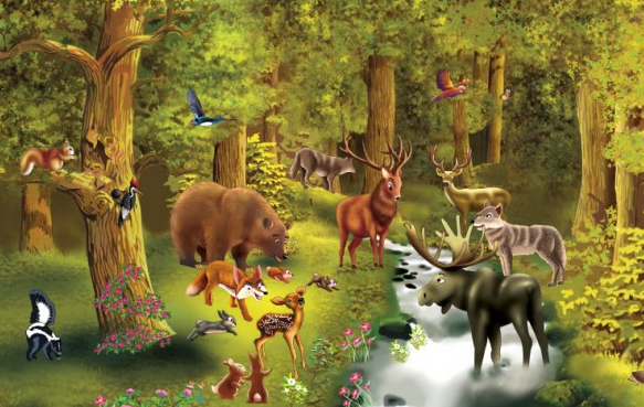 Puzzle Nivel 4: Animales del bosque | Recurso educativo 34316