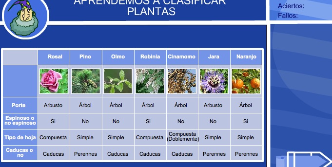 Aprendemos a clasificar las plantas | Recurso educativo 35737