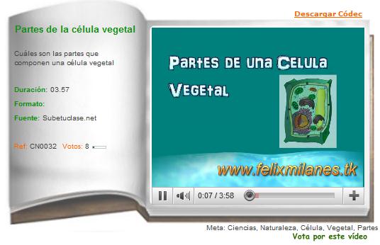 Partes de la célula vegetal | Recurso educativo 36223