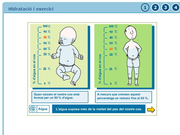 Hidratació i exercici | Recurso educativo 37888