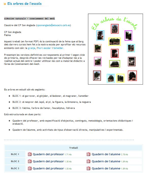 Els arbres de l'escola | Recurso educativo 38502