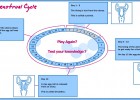 The Menstrual Cycle | Recurso educativo 41176