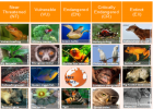 Endangered species | Recurso educativo 41257