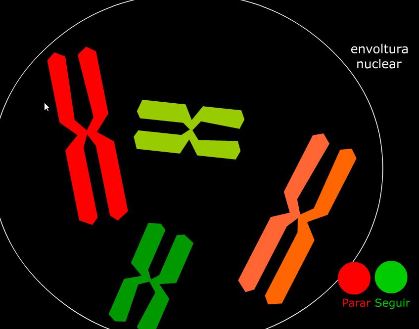 Meiosis | Recurso educativo 43690