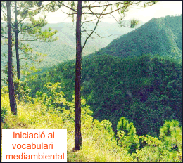 Iniciació al vocabulari mediambiental | Recurso educativo 44007