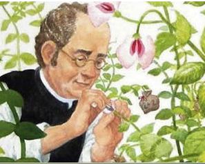 Biografia de Mendel | Recurso educativo 44450