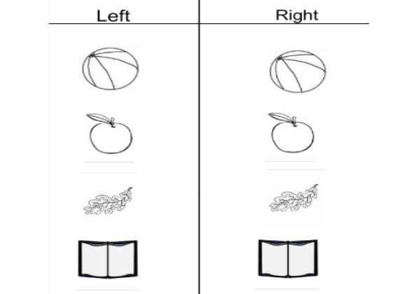 Left and right | Recurso educativo 46033