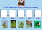 Plants | Recurso educativo 46053