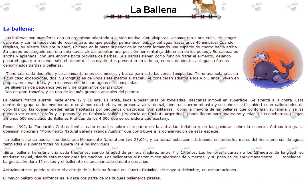 La Ballena | Recurso educativo 46436