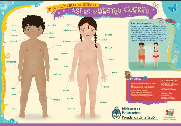 Así es nuestro cuerpo | Recurso educativo 46879