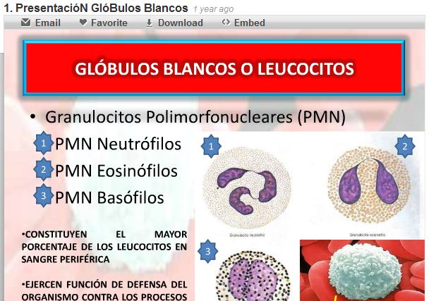 Glóbulos blancos | Recurso educativo 48137