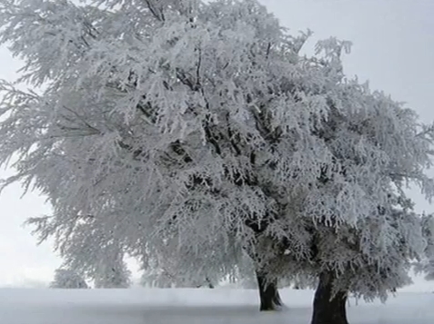 El invierno de Vivaldi | Recurso educativo 48377