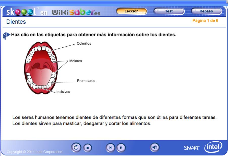 Dientes | Recurso educativo 48960