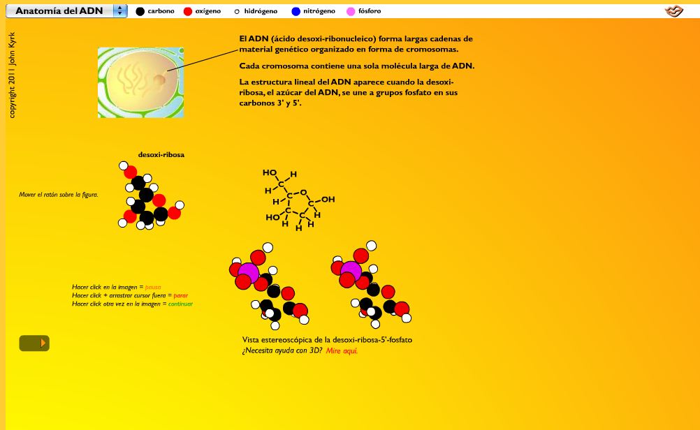 Anatomia de l'ADN | Recurso educativo 49091