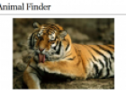 Webquest: Animal finder | Recurso educativo 51700