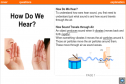 How do we hear? | Recurso educativo 54045