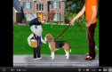 Video: Pets | Recurso educativo 60442