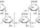 Los polisacáridos | Recurso educativo 61642