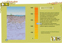 Interactivo: La evolución del suelo | Recurso educativo 10725