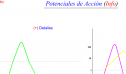 Potenciales de acción membranas de células | Recurso educativo 13896