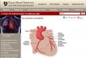 Las arterias coronarias | Recurso educativo 18211