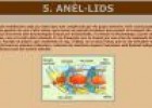 Anèl·lids | Recurso educativo 25324