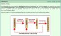 El sistema endocrino | Recurso educativo 27630