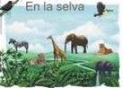 En la selva ¿cómo se llama ese animal? | Recurso educativo 3042