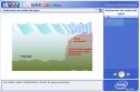 Refracción de ondas del agua | Recurso educativo 3329