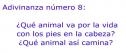 Usa el coco y adivina: ¿Qué animal... ? | Recurso educativo 6137