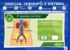 Aparatos y sistemas del cuerpo humano | Recurso educativo 6748