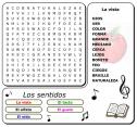 Sopas de letras: los sentidos | Recurso educativo 7111