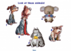 Which animal? | Recurso educativo 8298