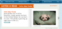 Hello, Baby panda! | Recurso educativo 64702