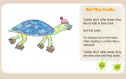 Not this turtle | Recurso educativo 66513