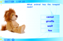 Wild animals test | Recurso educativo 67088