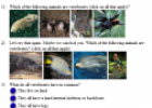 Vertebrates quiz | Recurso educativo 67581