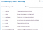 Circulatory system: Matching | Recurso educativo 69790