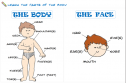 The body | Recurso educativo 69889