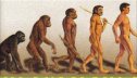 El proceso evolutivo humano | Recurso educativo 72256