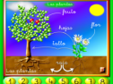 Las Plantas | Recurso educativo 72902