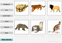 Zoo animals | Recurso educativo 73804