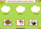 Food chain | Recurso educativo 80218