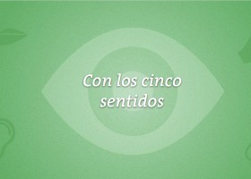 Con los cinco sentidos | Recurso educativo 93168