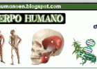 Actividad cardíaca | El Cuerpo Humano | Recurso educativo 94775