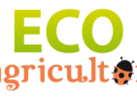 Huertos escolares: aprender de la Naturaleza. | ECOagricultor | Recurso educativo 99261