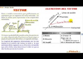 QUE ES UN VECTOR Y CUALES SON SUS ELEMENTOS | Recurso educativo 103886