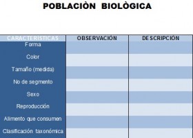 Formato poblaciòn biològica.jpg | Recurso educativo 105019