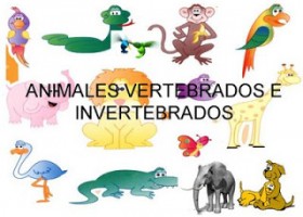 Mapa conceptual : Las características de los animales | Recurso educativo 121037